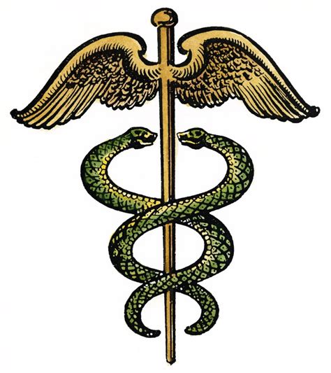 hermes staff medical|caduceus staff.